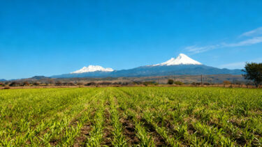 tlayecac-popocatepetl-iztaccihuatl-pilares