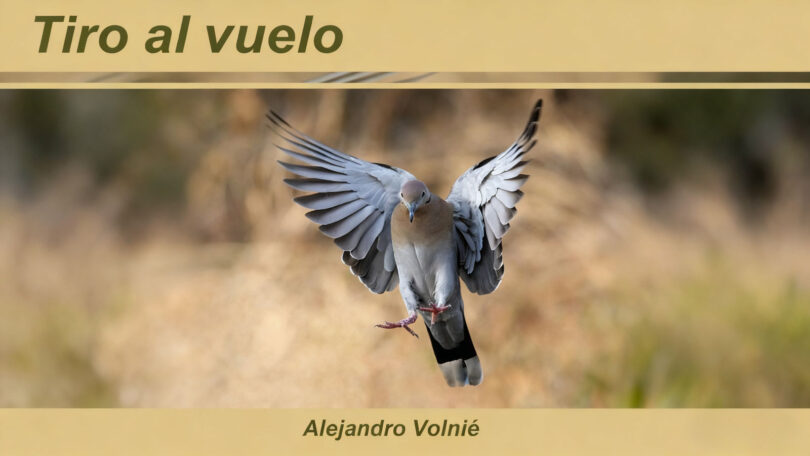 tiro-al-vuelo-portada-tlayecac-alejandro-volnie